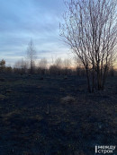 Тагильчанам запретили посещать лес