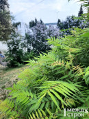 В Нижнем Тагиле на предстоящей неделе будет пасмурно, возможен дождь