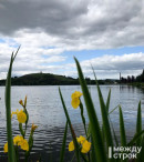 Тагильчан ждёт тёплая и пасмурная неделя