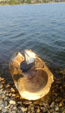 Общественники снова бьют тревогу. Черноисточинский пруд до сих пор усыпан пенопластом Общественники снова бьют тревогу. Черноисточинский пруд до сих пор усыпан пенопластом