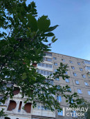 На этой неделе в Нижнем Тагиле потеплеет до +24°C На этой неделе в Нижнем Тагиле потеплеет до +24°C