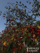 На этой неделе в Нижнем Тагиле будет теплее нормы на 4-5°C