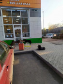«Эта стая собак уже давно кошмарит весь район». В Нижнем Тагиле жители Выи опасаются за свою жизнь