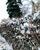 Рабочая неделя в Нижнем Тагиле будет тёплой