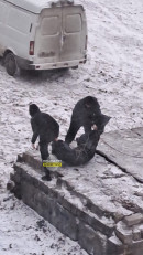 В Нижнем Тагиле в узле теплотрассы нашли труп мужчины