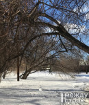 В Нижний Тагил идёт весеннее потепление