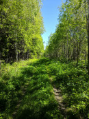 А вы знали? От Нижнего Тагила до Усть-Утки можно дойти пешком за 5 часов по старой демидовской дороге