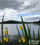 На этой неделе в Нижнем Тагиле потеплеет до +16°C