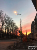 В Нижнем Тагиле спилят деревья на улице Металлургов за 9 млн рублей