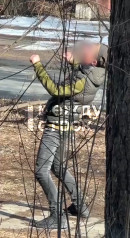 Жители Тагилстроевского района жалуются на наркоманов Жители Тагилстроевского района жалуются на наркоманов