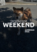Тагильский weekend топ-7: архитектурная археология, живопись на бересте, «Библионочь», футбол и монотипия