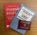 В Нижнем Тагиле мужчина получил уголовную судимость за оскорбление судебных приставов