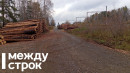 Под Нижним Тагилом прокуратура выявила незаконную вырубку деревьев