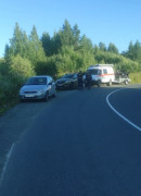 Тагильские спасатели нашли дедушку, который пошёл с внуком в лес и потерялся