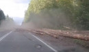На трассе под Нижним Тагилом лесовоз устроил лавину из брёвен, как в фильме «Пункт назначения» (ВИДЕО)