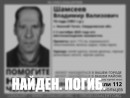 74-летний Владимир Шамсеев найден мёртвым под Нижним Тагилом