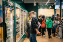 Федеральные ритейлеры хотят купить уральскую сеть продуктовых магазинов «у дома» «Жизньмарт»
