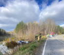 Под Нижним Тагилом произошло смертельное ДТП Под Нижним Тагилом произошло смертельное ДТП