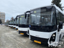 На улицах Нижнего Тагила появятся 49 новых автобусов