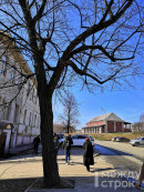 Депутаты думы Нижнего Тагила обсудили судьбу музейных объектов культурного наследия