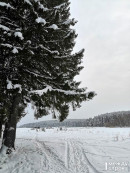 В Нижнем Тагиле вынесли приговор двум организаторам нелегального турклуба за травмирование школьницы на «тарзанке»