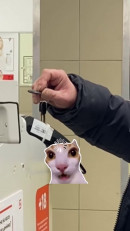 На вашем домофоне недостаточно средств. Тагильчанин пытался оплатить покупки в супермаркете необычным способом (ВИДЕО)