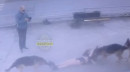 Жители Нижнего Тагила пожаловались на мужчину, натравливающего своих трёх овчарок на людей Жители Нижнего Тагила пожаловались на мужчину, натравливающего своих трёх овчарок на людей