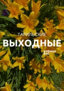 Тагильские выходные, топ 6: лето ручной работы, берёзовые картины и смех над трагизмом викторианской эпохи Тагильские выходные, топ 6: лето ручной работы, берёзовые картины и смех над трагизмом викторианской эпохи