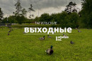 Тагильские выходные топ-8: творчество под открытым небом, истории о лошадях, театр на улице, пиратское шоу, день рождения диджея и благотворительный ультрамарафон Тагильские выходные топ-8: творчество под открытым небом, истории о лошадях, театр на улице, пиратское шоу, день рождения диджея и благотворительный ультрамарафон