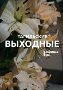 Тагильские выходные топ-7: турнир по армрестлингу, фигуры на траве, молодёжная тусовка, живая музыка, мастер-классы и ярмарки