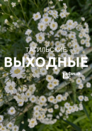 Тагильские выходные, топ-6: байк-фестиваль, автогонки на парковке и финал Чемпионата мира по футболу