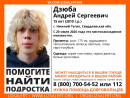 В Нижнем Тагиле пропал 15-летний Андрей Дзюба 
