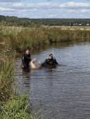 Под Нижним Тагилом утонул мужчина Под Нижним Тагилом утонул мужчина
