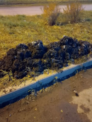 Специалисты «Водоканала-НТ» четыре дня устраняли засор канализации на Гальянке 